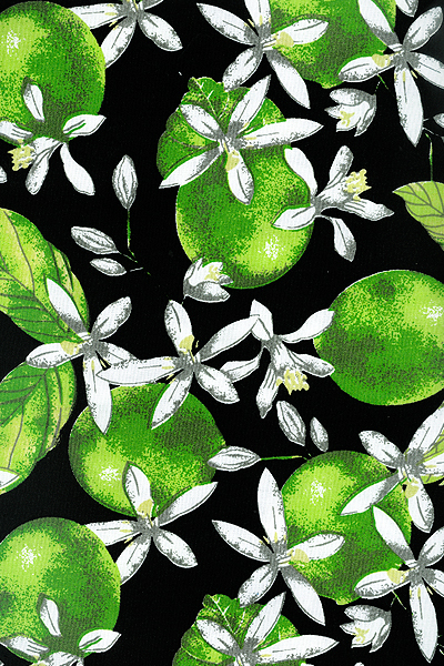LEMON C/ Fdo. Blot 1
